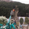 �褦�䤯�������ޤ��λޤ�����ޤ�����