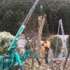 ���졼������������ߤäƸ��ꤷ��Ȳ�Τ��Ƥ����ޤ���